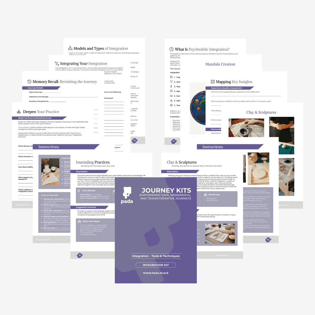 Integration Kit (Digital Edition) - Pada