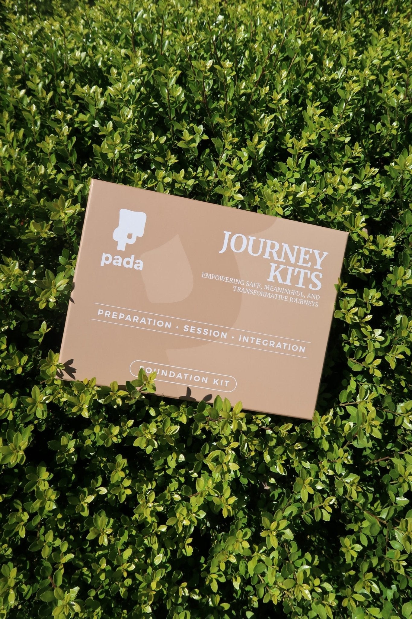 Psychedelic Foundation Kit - Pada